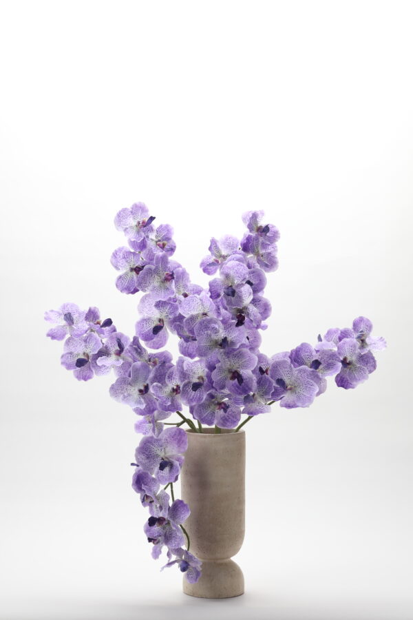 Valensole