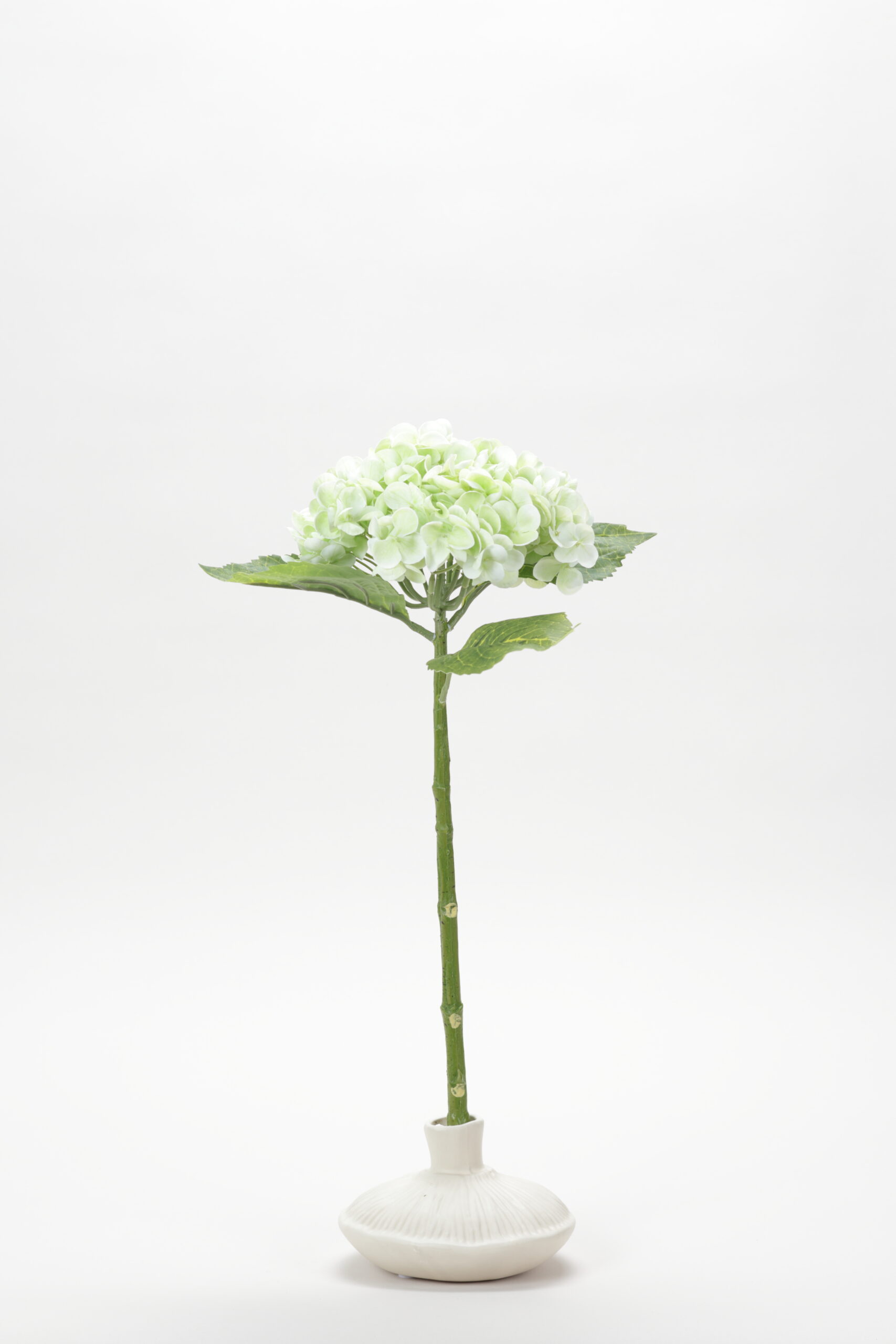 Hydrangea Real-Touch (Light Green)