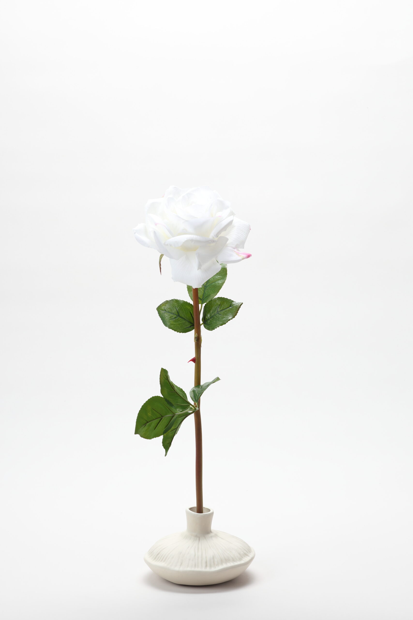 Real - Touch Rose (Cream)