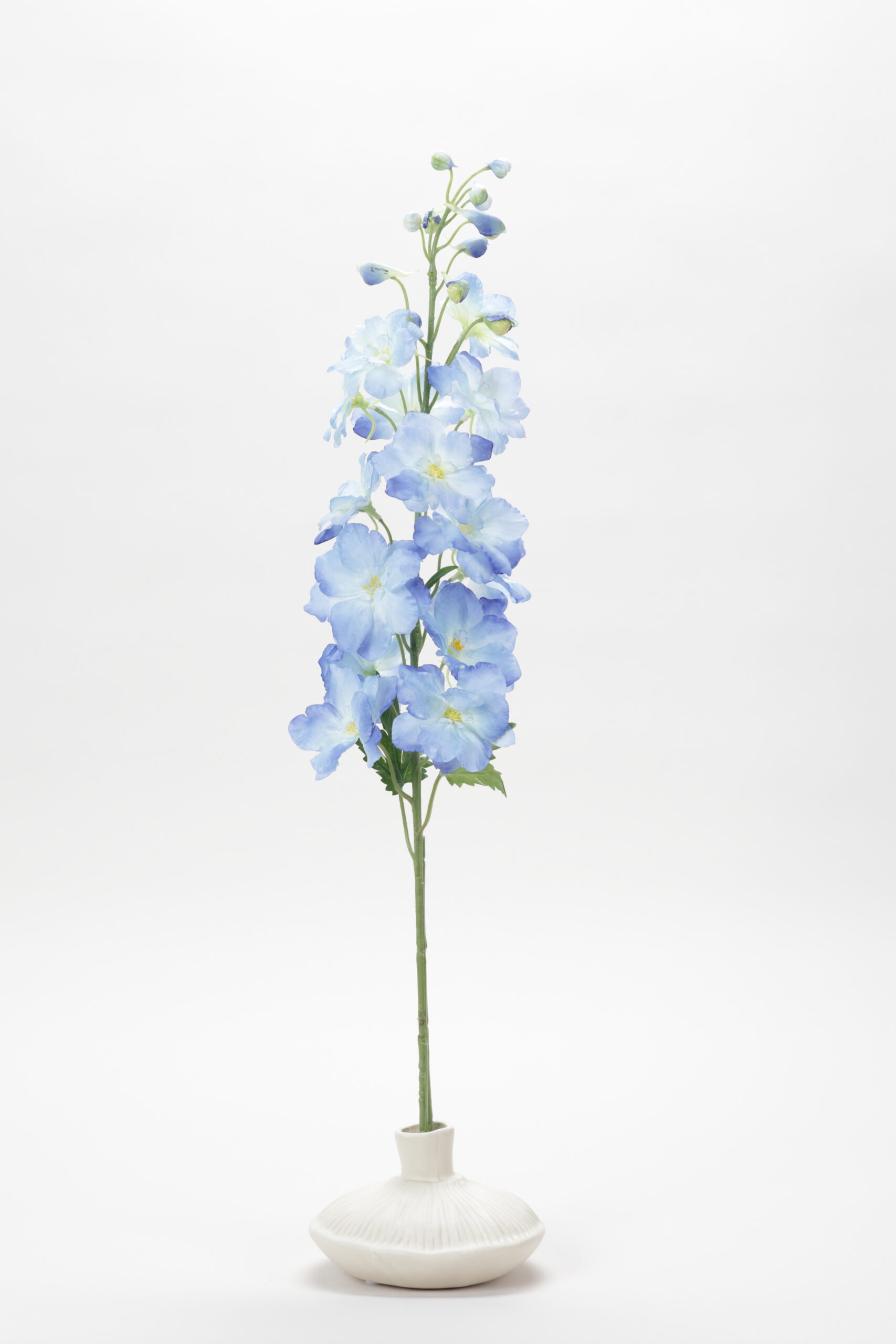 Delphinium (Lavender Blue)