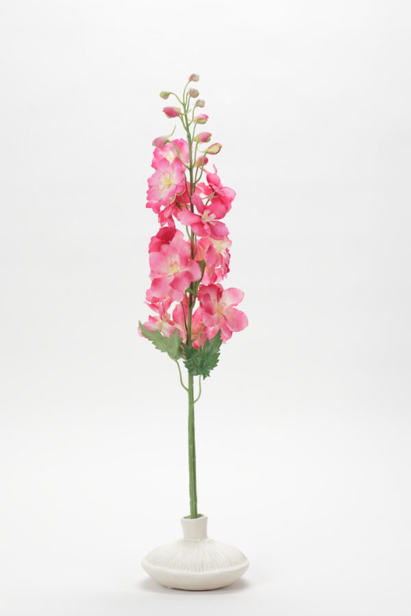 Delphinium (Coral Pink)