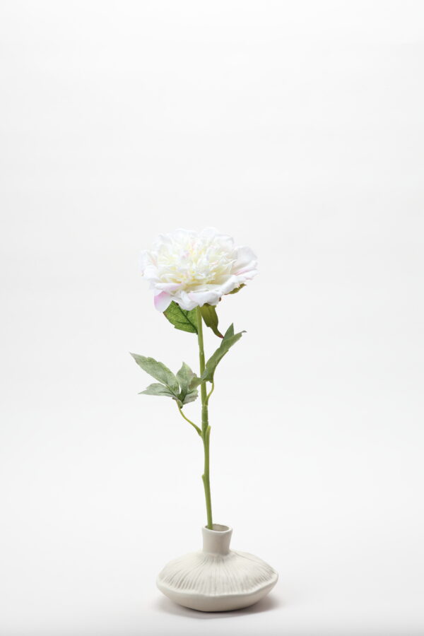 Real-Touch Peony (White / Pink)