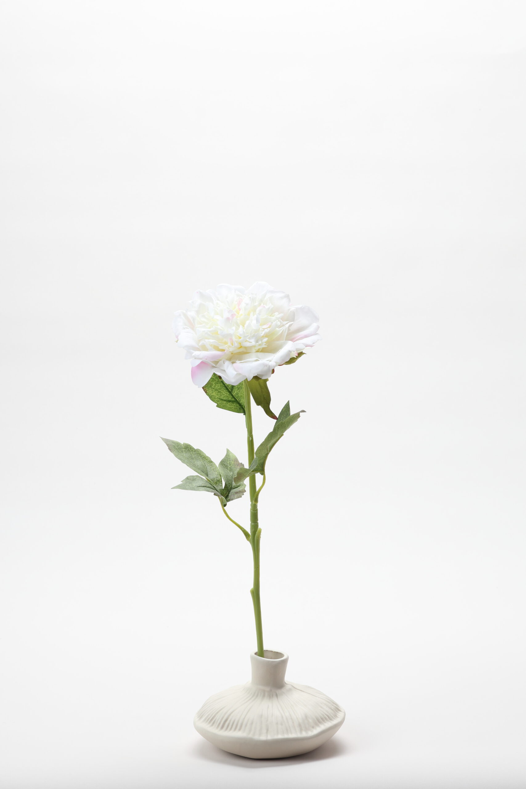 Real-Touch Peony (White / Pink)