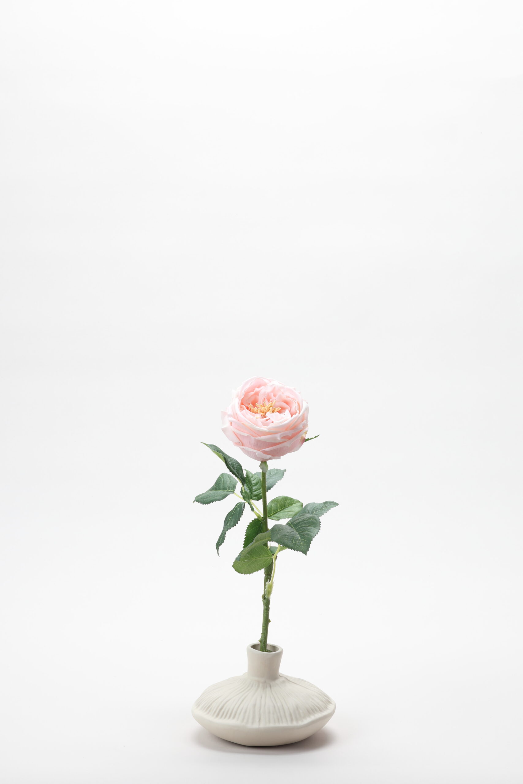 Real-Touch Rose Jenny (Peach)