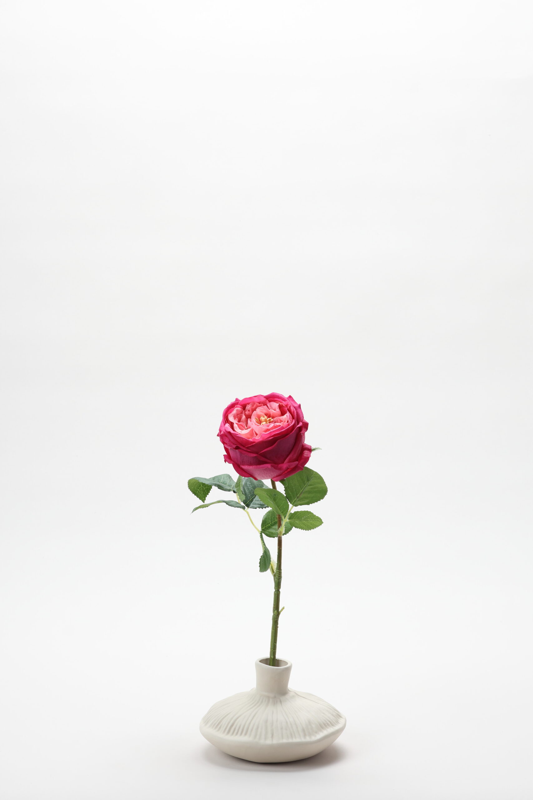 Real-Touch Rose Jenny (Beauty)