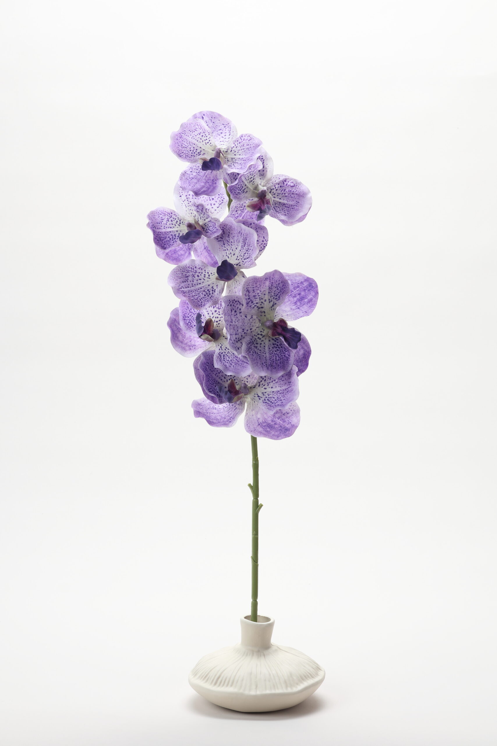 Real-Touch Vanda Orchid (Purple)