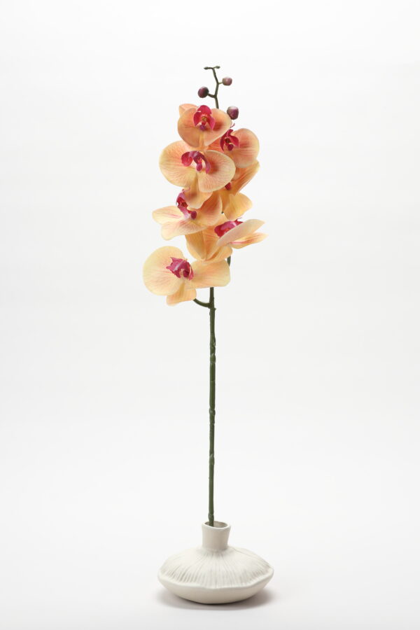 Real-Touch Phalaenopsis Orchid (Peach)