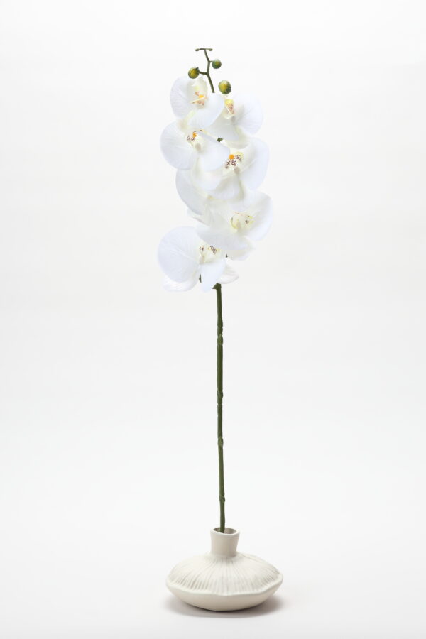 Real-Touch Phalaenopsis Orchid (White)