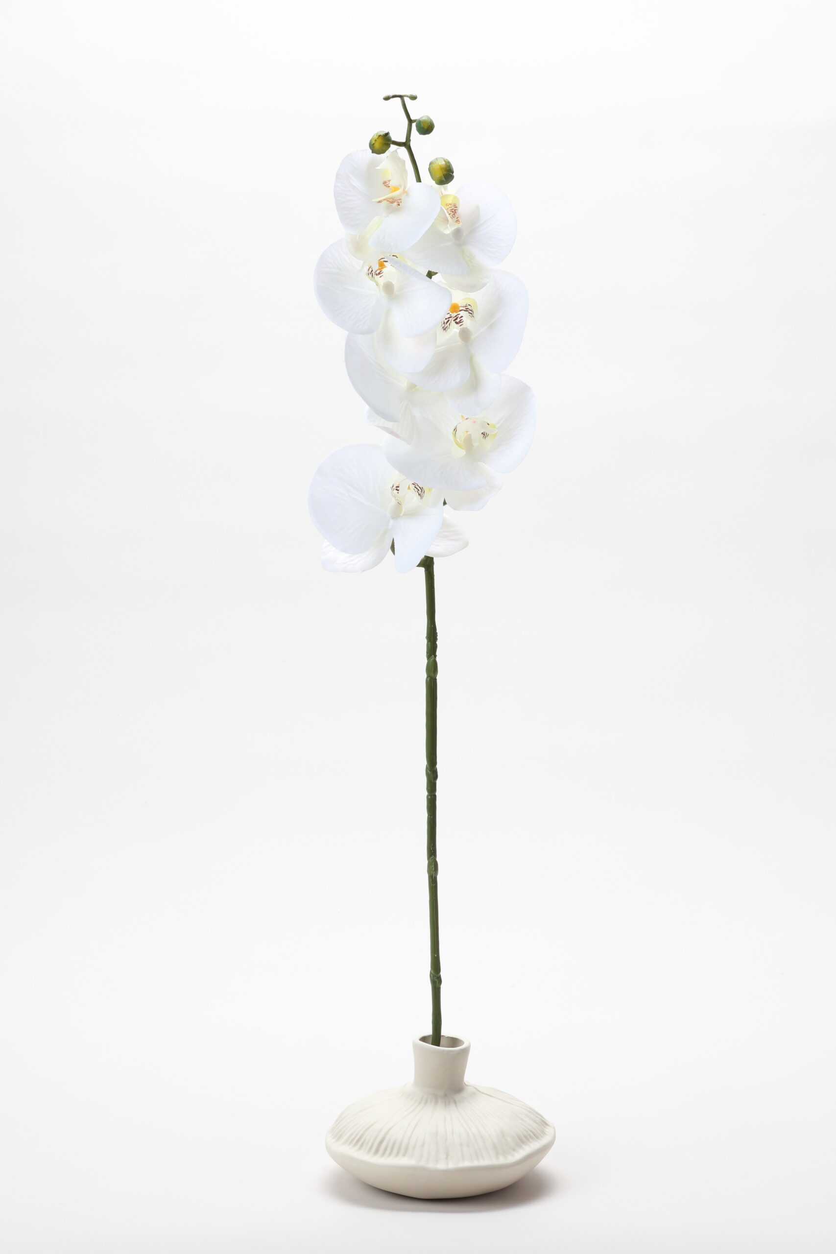 Real-Touch Phalaenopsis Orchid (White)