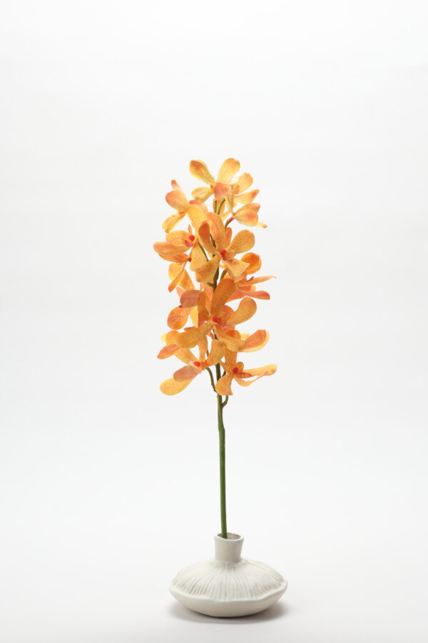 Real-Touch Vanda Orchid (Orange)