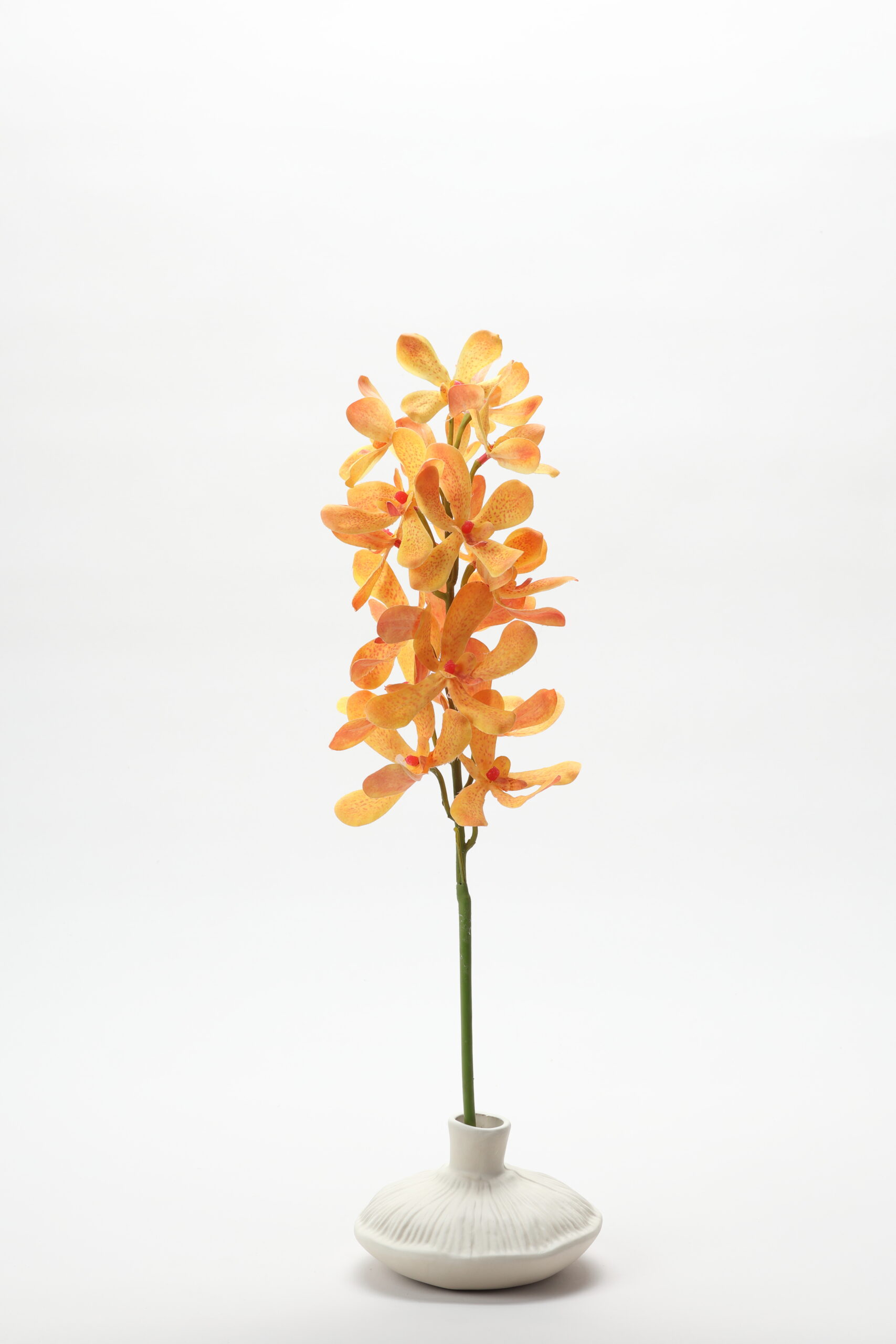 Real-Touch Vanda Orchid (Orange)