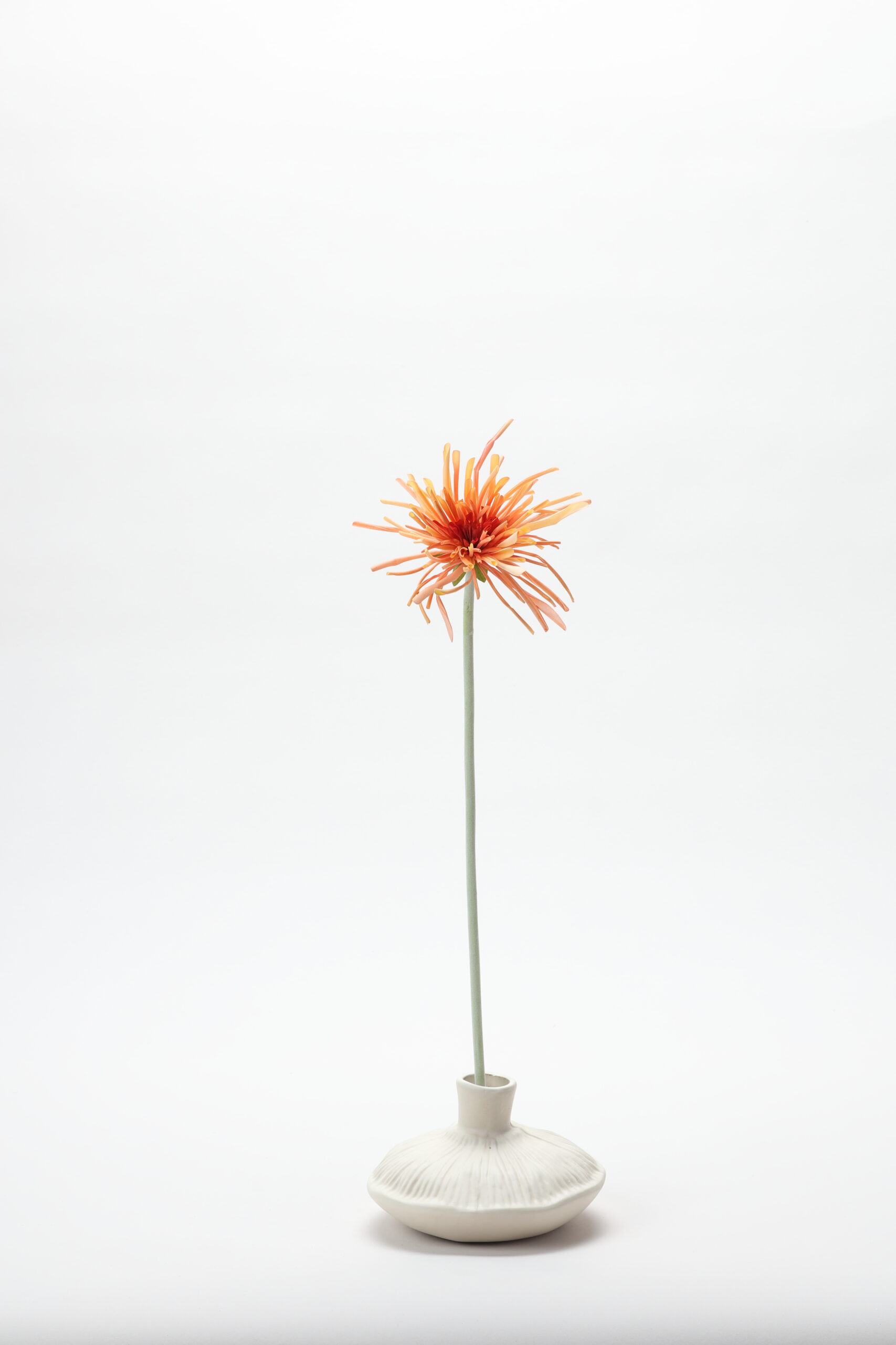 Real-Touch Gerbera Spider (Orange)
