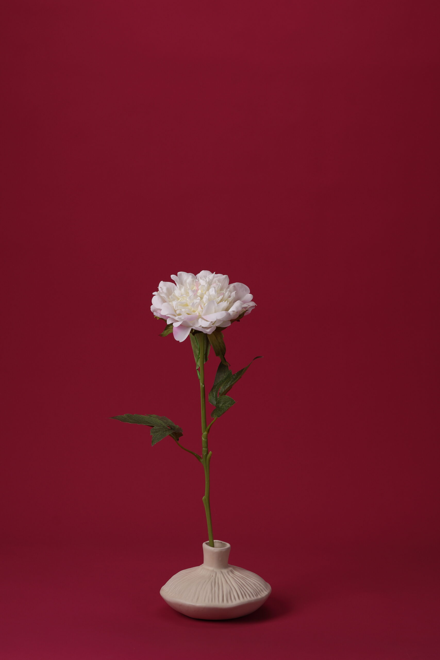 Real-Touch Peony (White / Pink)