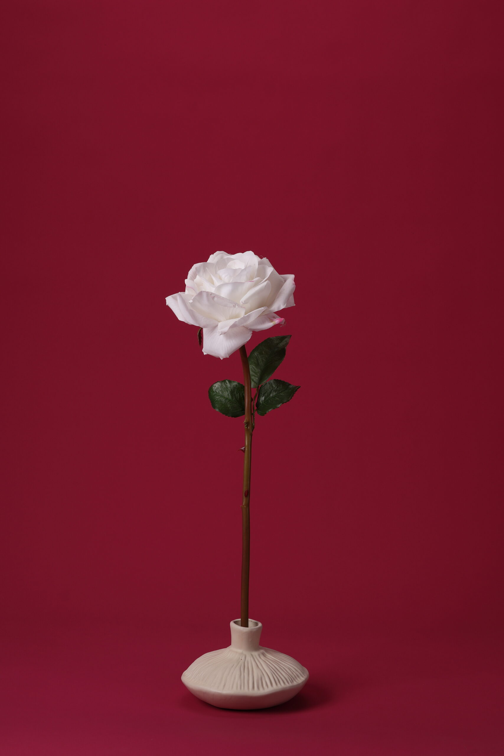 Real - Touch Rose (Cream)