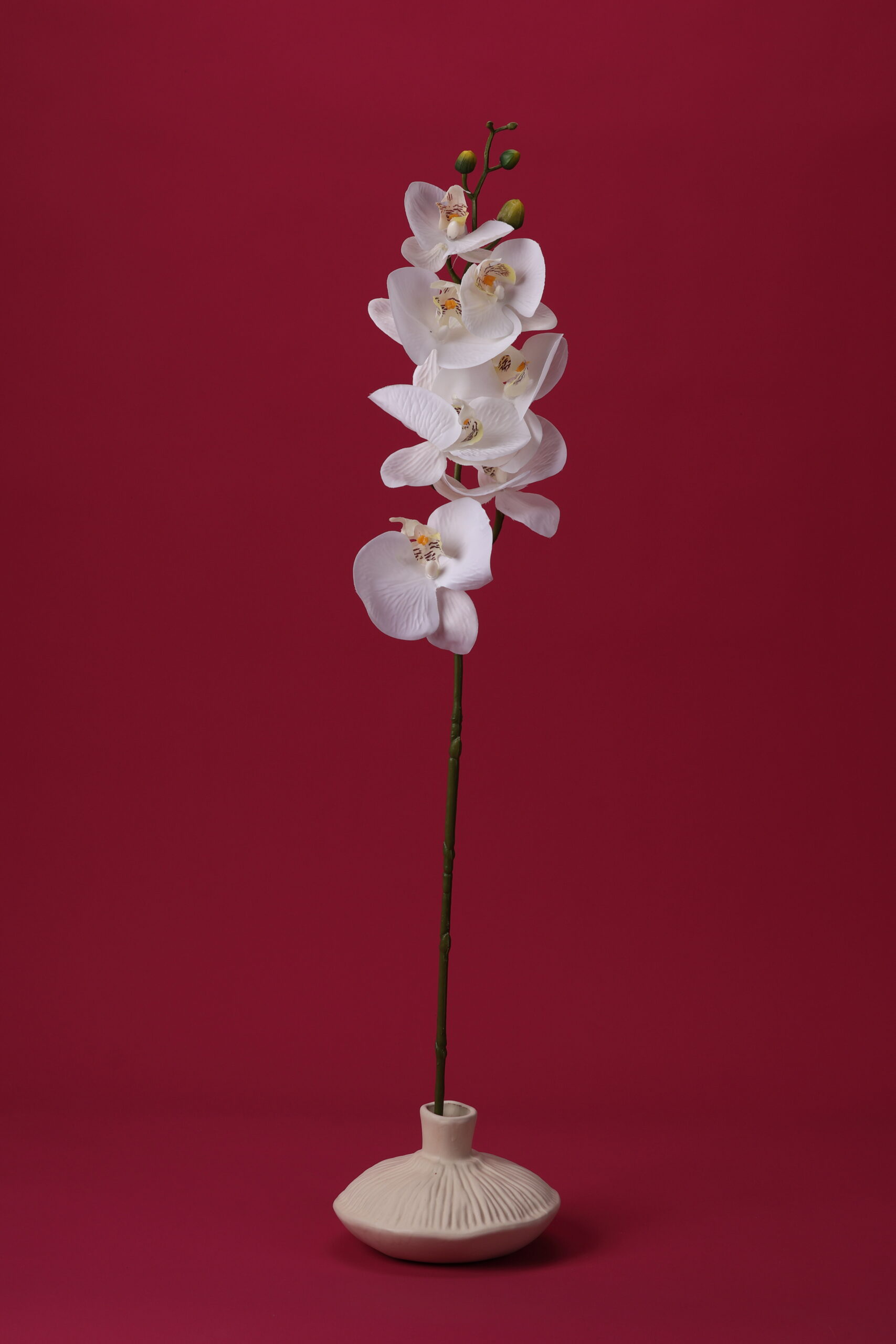 Real-Touch Phalaenopsis Orchid (White)