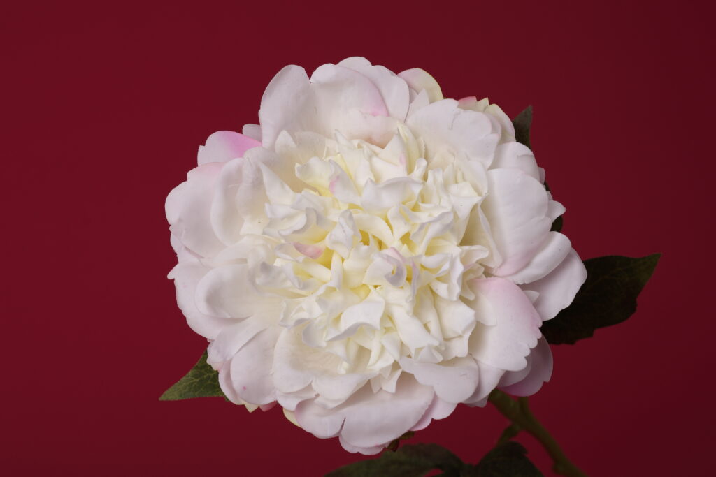 Create Your Bouquet