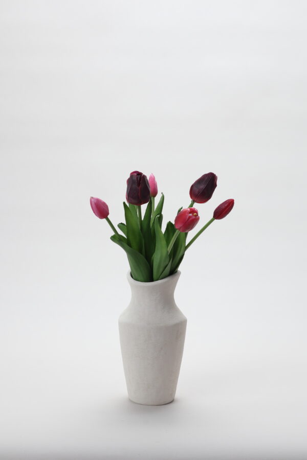 La Tulipe