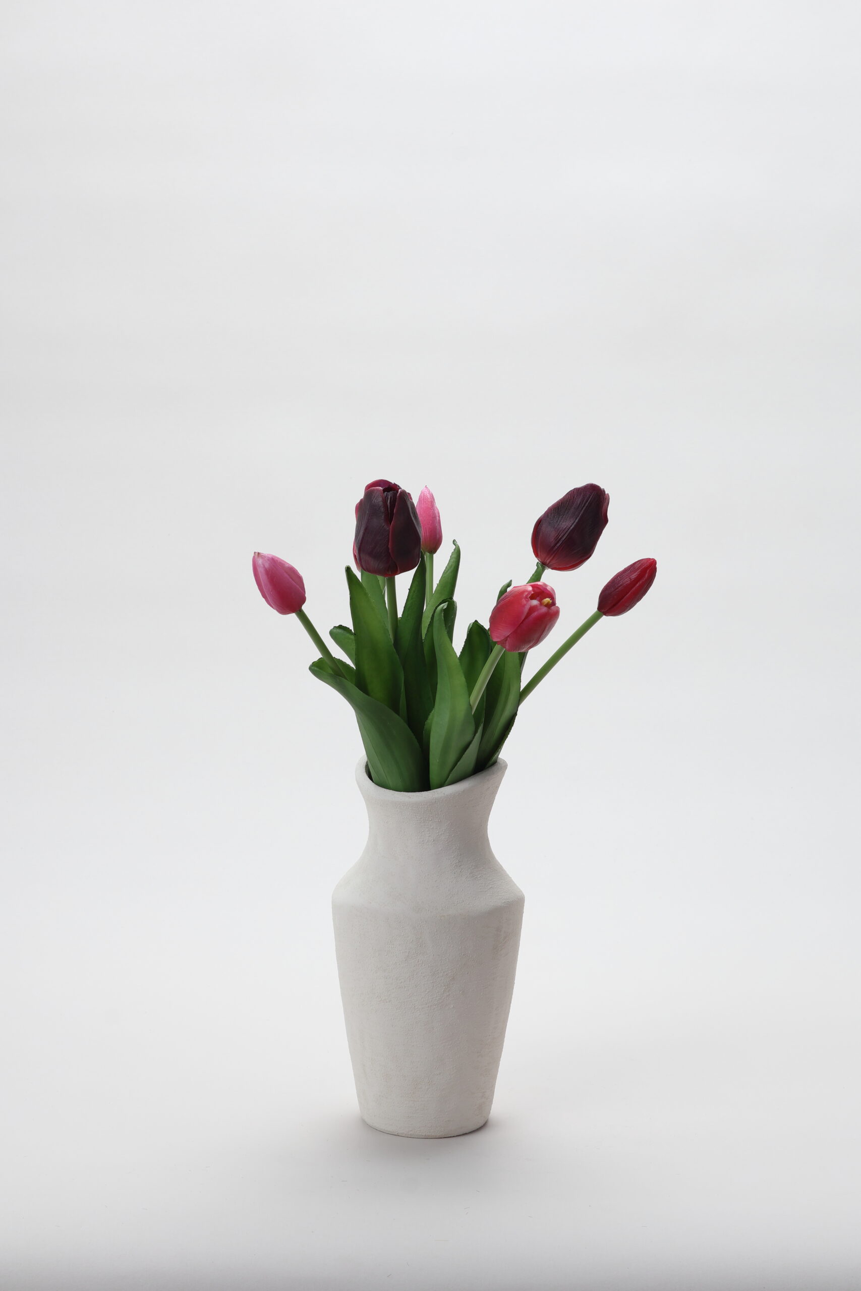 La Tulipe