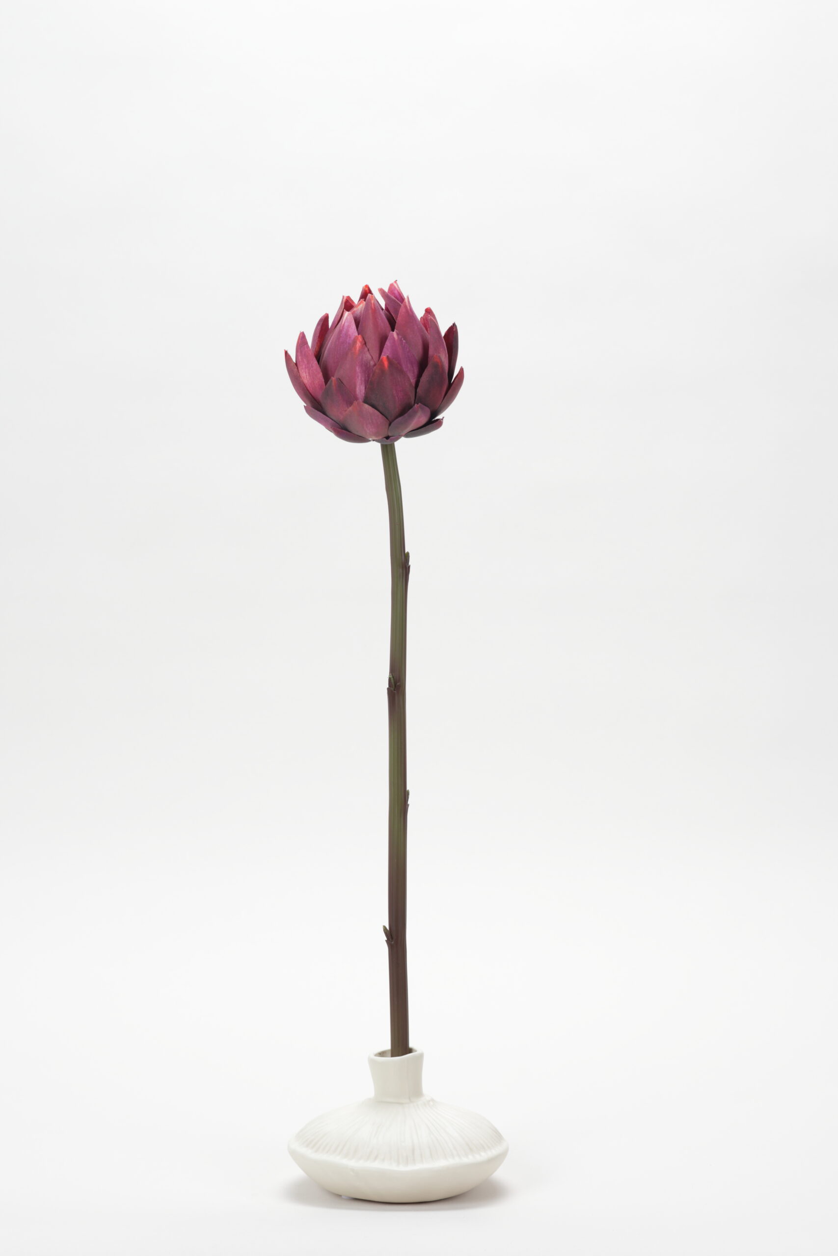 Artichoke (Burgundy)