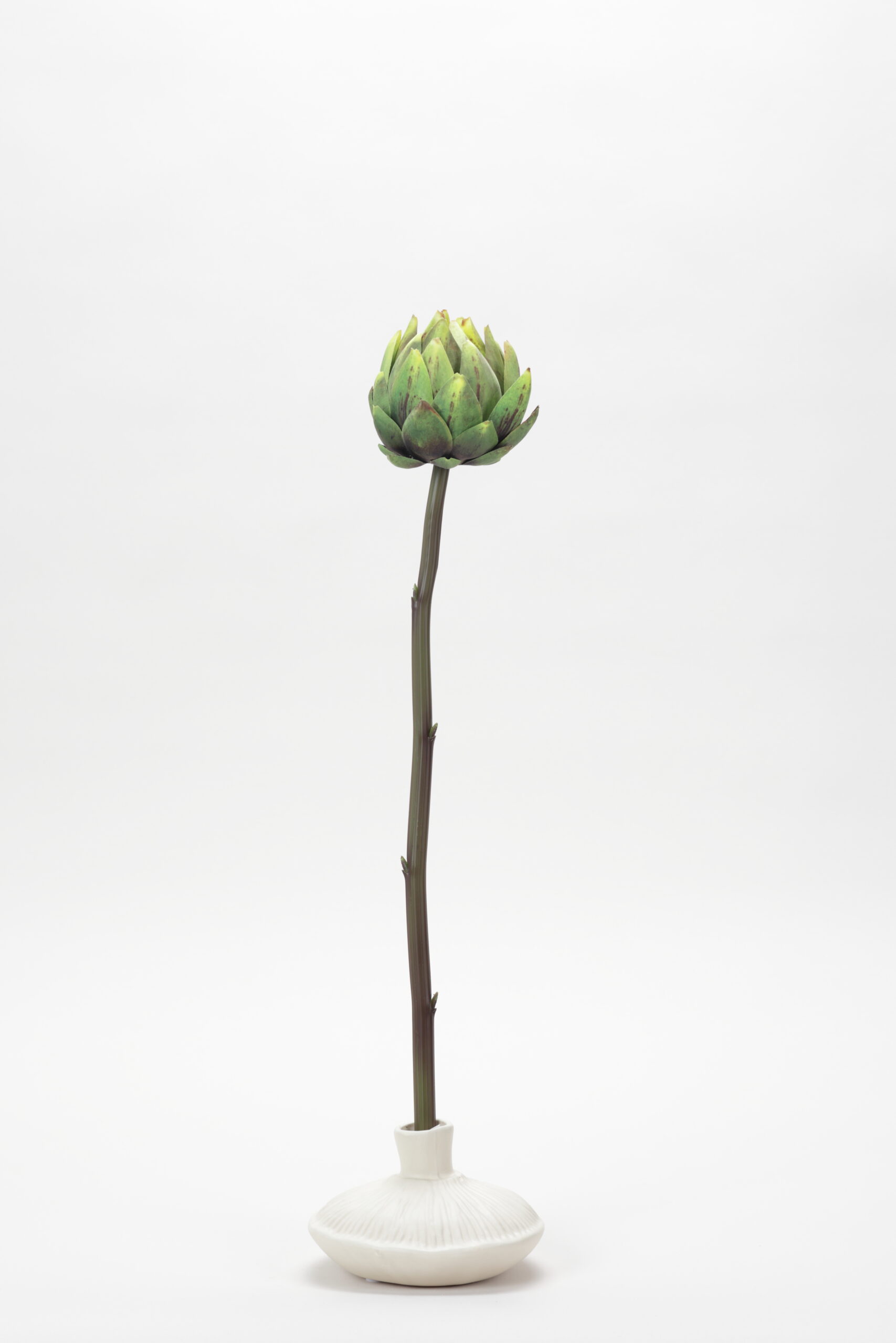 Artichoke (Green)